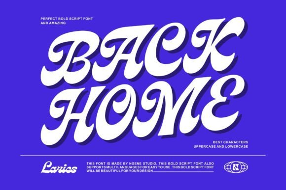 Laries Script Font Review: A Modern Editorial Touch
